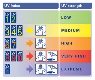 UV Index Scale